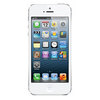 Apple iPhone 5 16Gb white - Удомля